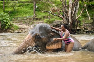 The Trip That Reminded Me Why Women Deserve Luxury: My Journey Through Thailand | Chai Lai Elephant Sanctuary 2